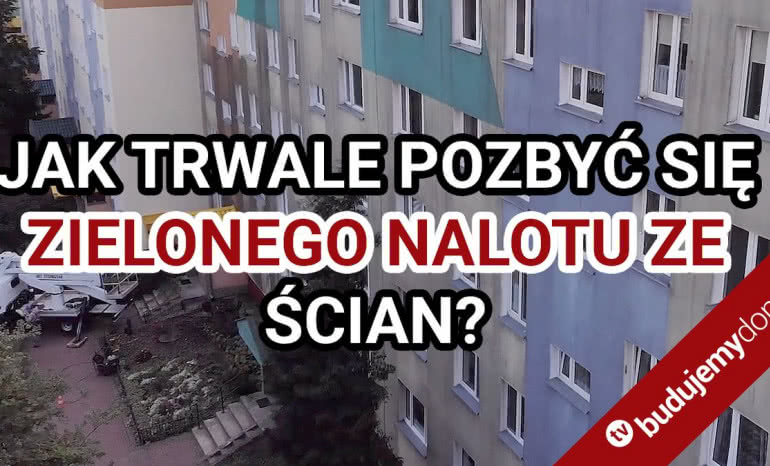 Jak trwale pozbyć się zielonego nalotu ze ścian? System BOLIX BIO COMPLEX!