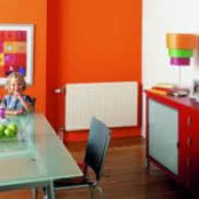 Grzejniki płytowe Stelrad: Accord