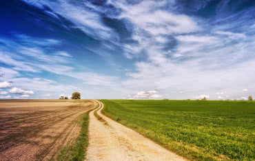 Dlaczego warto inwestować w grunty? 