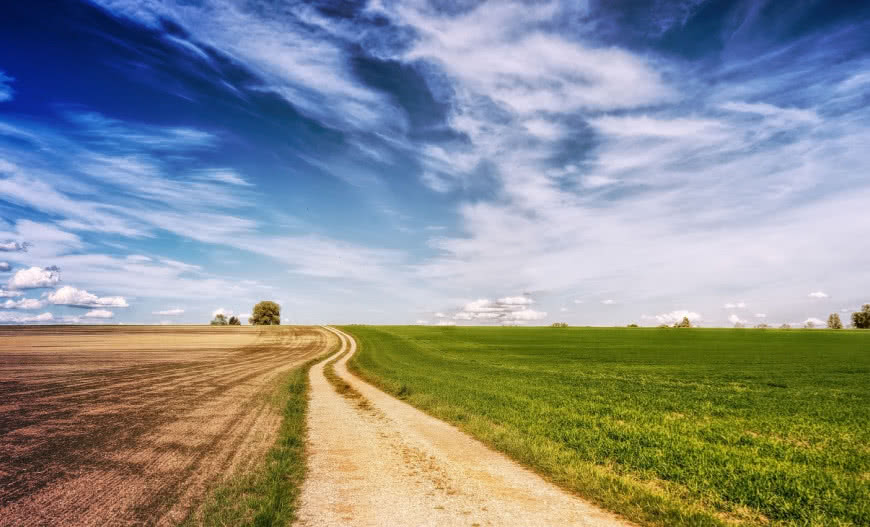 Dlaczego warto inwestować w grunty? 