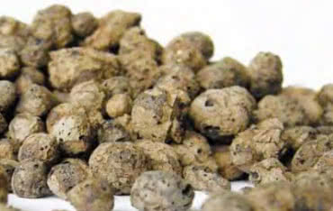 Podłoga na gruncie z ogrzewaniem podłogowym