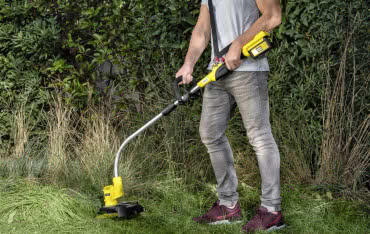 Jak uporządkować zarośniętą działkę? Od czego zacząć?