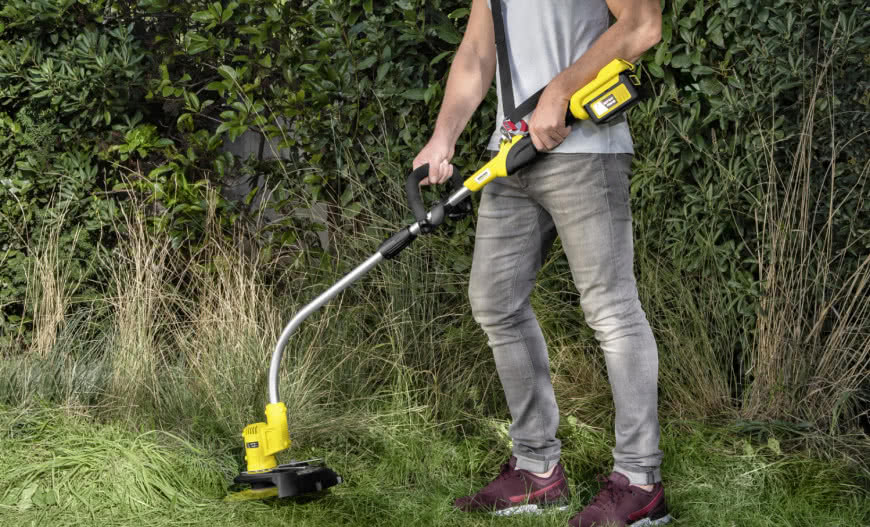 Jak uporządkować zarośniętą działkę? Od czego zacząć?