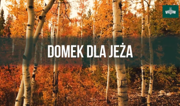 Czym zabezpieczyć drewniany dom dla zwierząt?