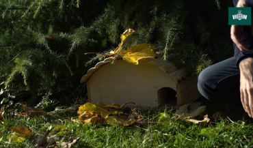 Budowa drewnianego domu dla zwierząt krok po kroku