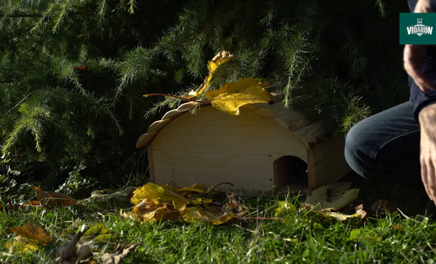 Budowa drewnianego domu dla zwierząt krok po kroku