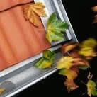 Ochrona przed liśćmi RHEINZINK