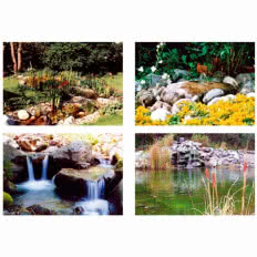 Projektowanie i urządzanie ogrodów