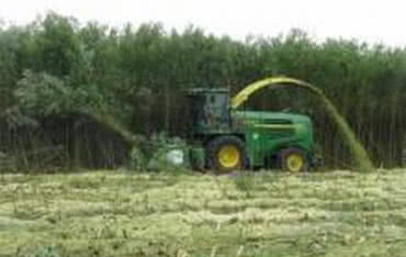 Ekologiczny węgiel z biomasy receptą na redukcję emisji CO2