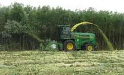 Ekologiczny węgiel z biomasy receptą na redukcję emisji CO2