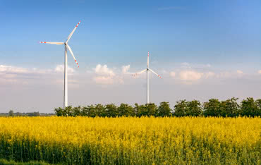 Rząd daje zielone światło dla wiatraków. Co zmieni nowelizacja ustawy?