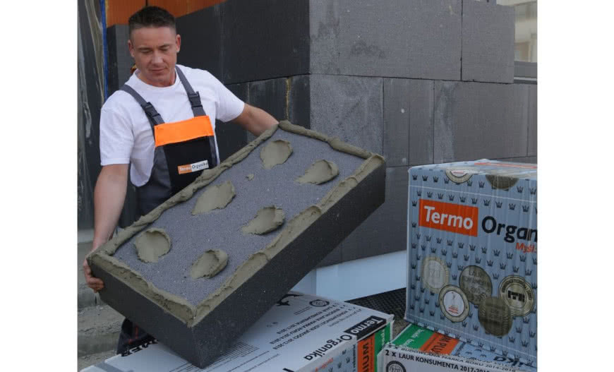 Termomodernizacja jako najbardziej opłacana inwestycja 