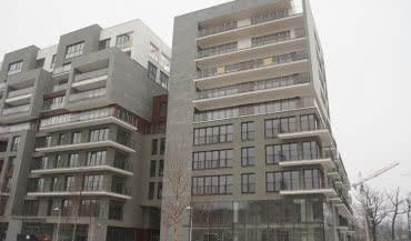 Angel Wings Wrocław