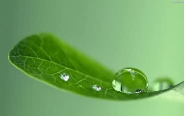 Badanie ścieków z oczyszczalni przydomowej - jak jest naprawdę?