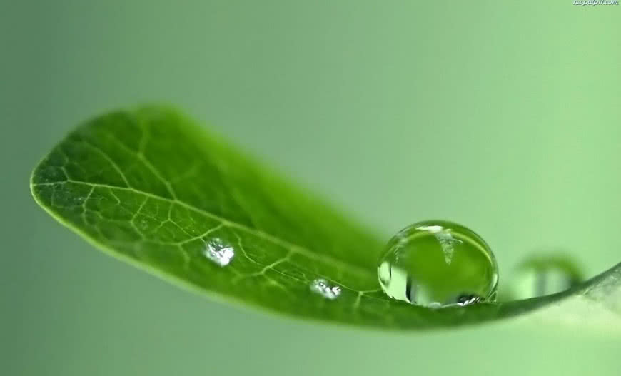 Badanie ścieków z oczyszczalni przydomowej - jak jest naprawdę?