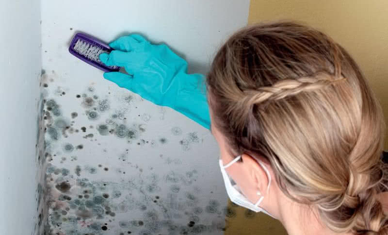 Sposoby likwidacji plam, zacieków i pleśni