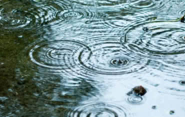 Coraz więcej miast wprowadza podatek od deszczówki