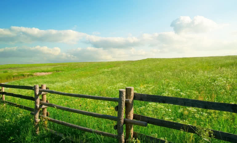 Jak bezpiecznie kupić działkę pod budowę wymarzonego domu?