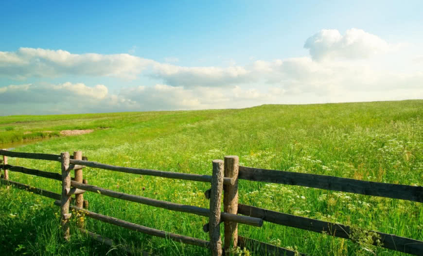 Jak bezpiecznie kupić działkę pod budowę wymarzonego domu?