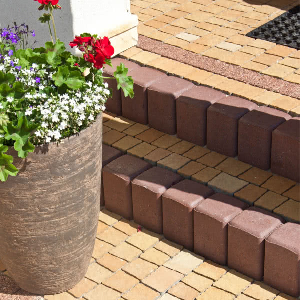 Minipalisada Nosalit