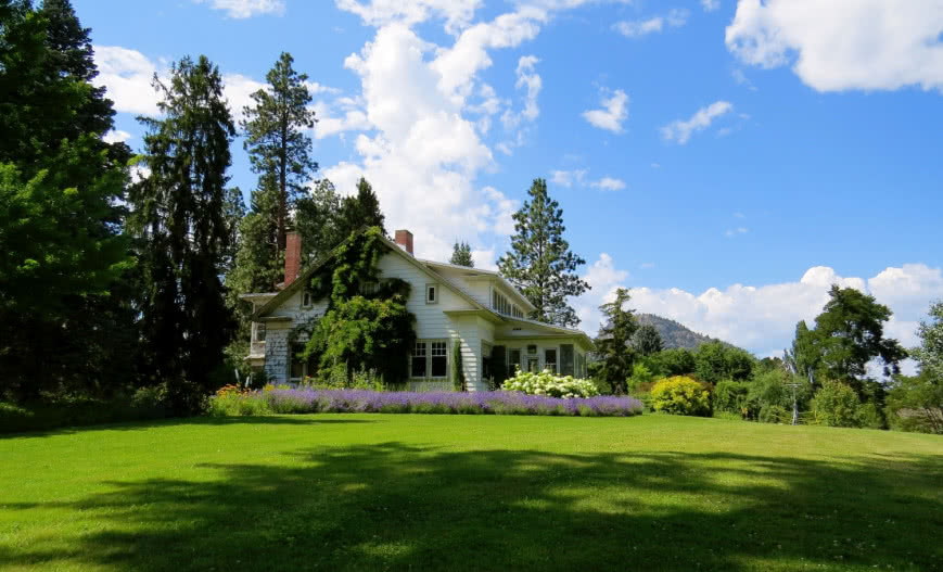 Przydomowa oczyszczalnia, a drzewa i rośliny