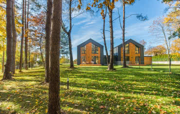 Mech i chwasty na trawniku? Przeprowadź jesienną wertykulację