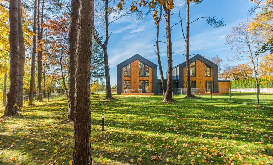 Mech i chwasty na trawniku? Przeprowadź jesienną wertykulację