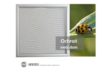 Moskitiery - sposób na biedronki azjatyckie