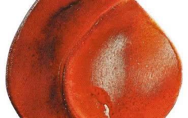 Darco zdobywcą nagrody "Płomień Roku"