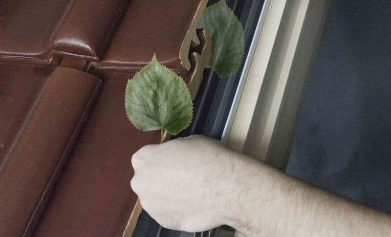 Jesienny przegląd okien dachowych