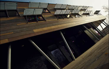 Efektowna fasada szkoły i dom na drzewie