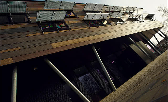 Efektowna fasada szkoły i dom na drzewie