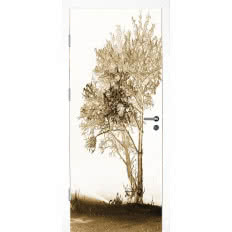 Drzwi z kolekcji BARCELONA COLOR IMPRESION