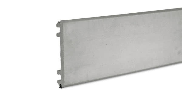 Element szalunkowy ASE typu DW1