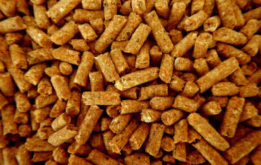 Ile kosztuje pellet? Ceny pelletu w 2023 roku