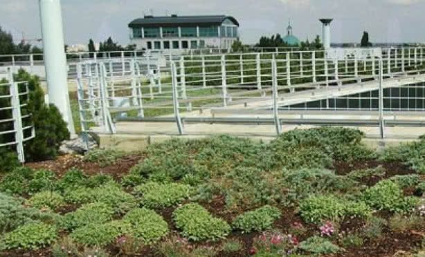 DACHY ZIELONE - profesjonalne szkolenie dla architektów krajobrazu, ogrodników i dekarzy