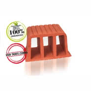 Pustak stropowy Ackermana