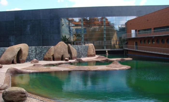 Wyroby marki Weber we wrocławskim Afrykarium