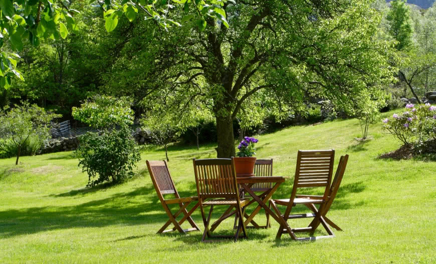 Produkty marki Jedynka do renowacji drewna po zimie