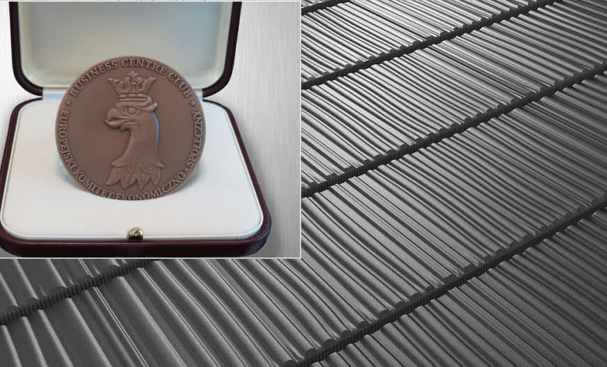 Panele REGLE z Medalem Europejskim Business Centre Club