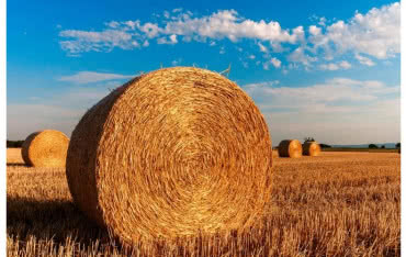 Elektrociepłownia Lublin "Wrotków" z blokiem na biomasę