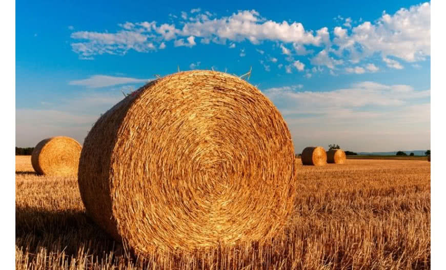 Elektrociepłownia Lublin "Wrotków" z blokiem na biomasę