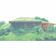 System Xero flor