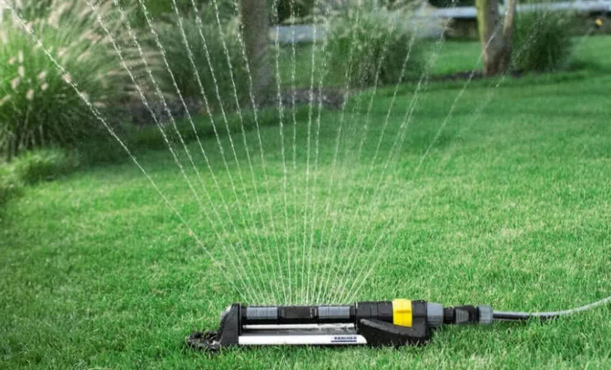 Jak i kiedy siać trawę? Zakładanie trawnika krok po korku