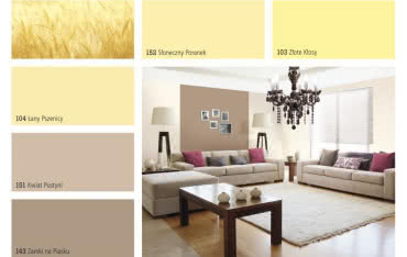 Nowe trendy kolorystyczne w produktach Śnieżki