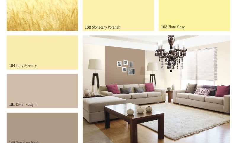 Nowe trendy kolorystyczne w produktach Śnieżki