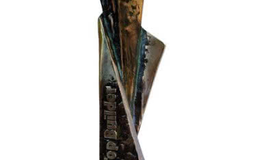 System GENEO laureatem konkursu TOPBUILDER 2013