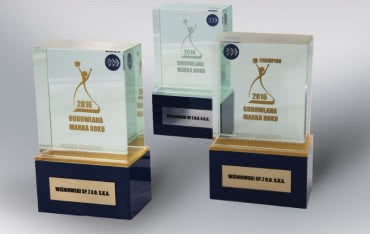 Firma WIŚNIOWSKI branżowym CHAMPIONem