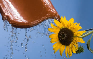 Dni Otwarte z super cenami na produkty Röben!