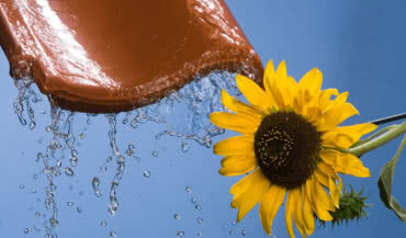 Dni Otwarte z super cenami na produkty Röben!